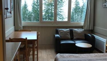 RÉSID BEC DE L AIGLE Studio 22 - LE LIORAN - Foto 5