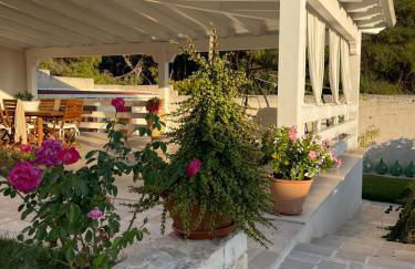 MASSERIA FRANTELLA - Foto 40