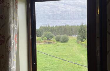 Agroturystyka Sosnowy Gaik - Foto 9