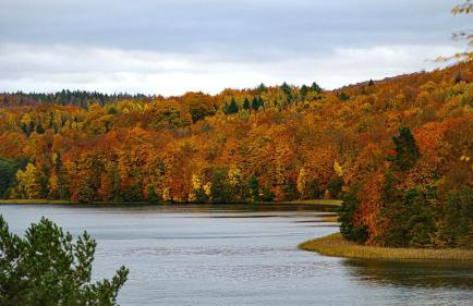 Widokówka Zacisze - Foto 13