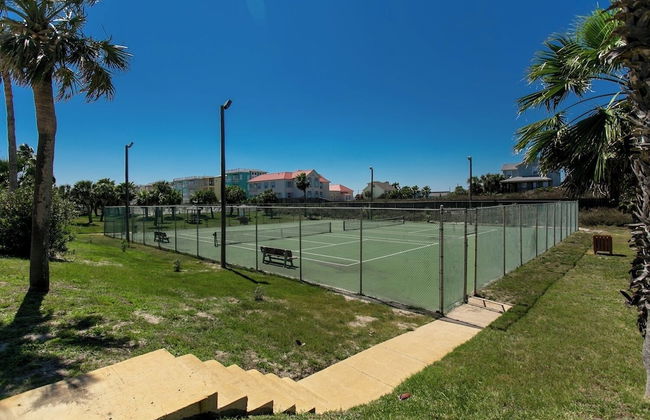 Ir19-on the Half Shell - Foto 6