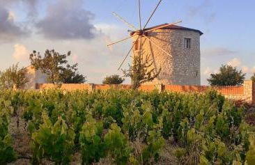 Anemomilos Villa - Photo 52