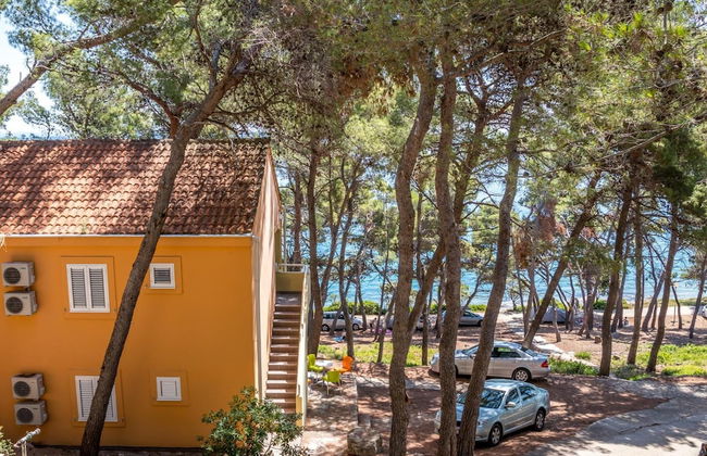 Zelena Punta - Foto 55