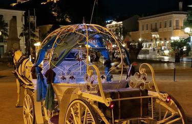 Ktima Anastasia - Foto 77