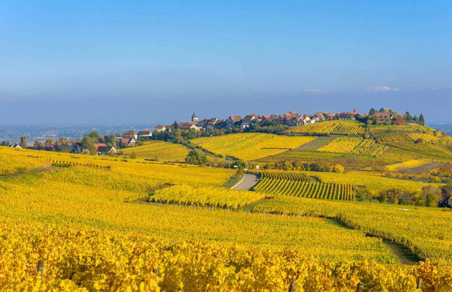 Tour por Alsacia + Castillo Haut-Koenigsbourg - Foto 5