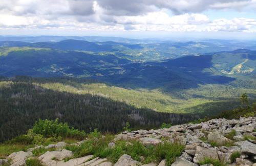 Agroturystyka "Pod Gruszą" - Foto 22