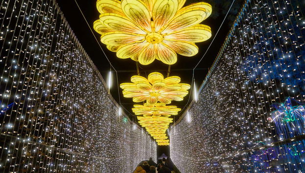 Luzes de Natal com forma de flores