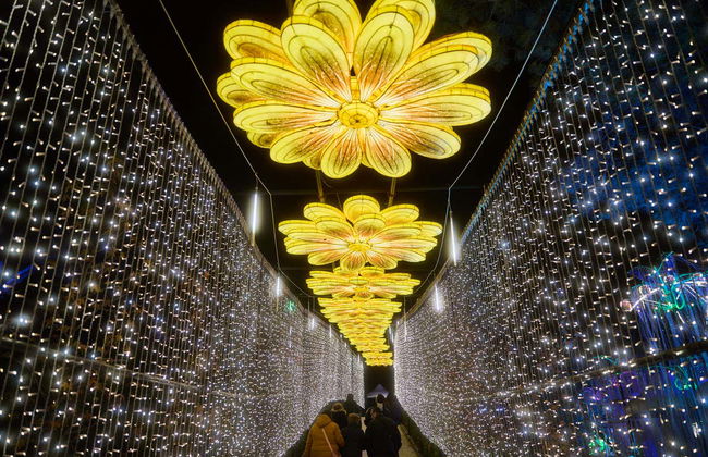 Ingresso do Mágicas Navidades de Torrejón de Ardoz - Foto 3