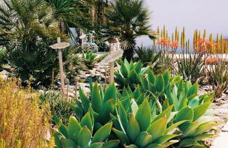 FINCA YANTAR - Foto 48