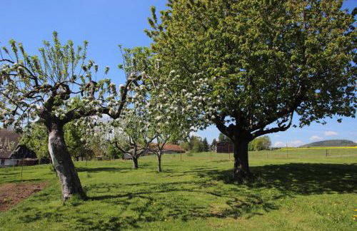 Ferienwohnung Koitscheblick - Foto 12