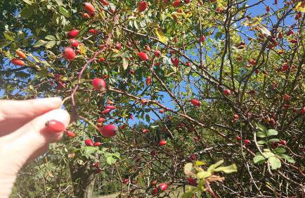 Apartamenty Widokowa Korbielów - Foto 16