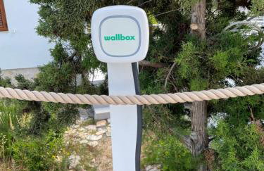 VisitAylinVis - Foto 31