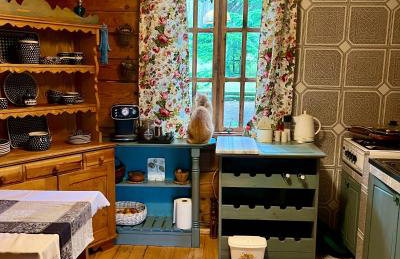 House in the forest in Podlasie - Foto 14