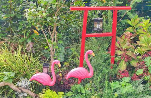 Uni-nähe Unterkunft mit Garten - Foto 18