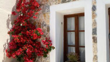 Anastasia's Home - Foto 3