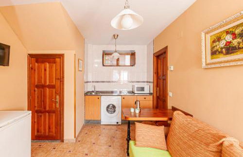 Apartamentos la Regoria - Foto 19