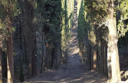 Agriturismo La Presura - Foto 130