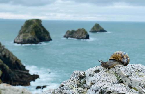 Penty Kergonan avec belle vue mer - Crozon, Bretagne - Photo 35