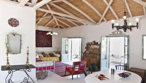 Salvia - Foto 4, Garden view