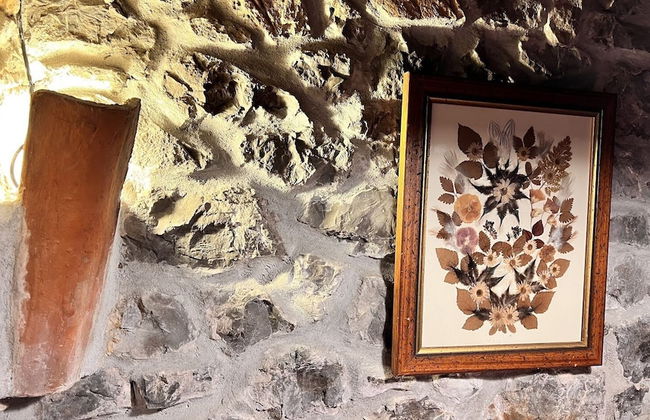 Los Acebos de Peña Cabarga - Foto 23