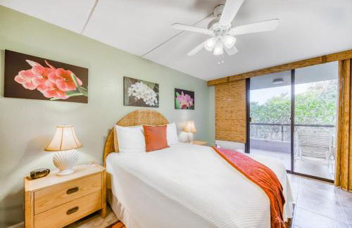 Kona Pacific C421 - Foto 19