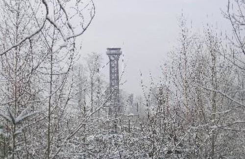 Holiday Home Nur-Dach-Ferienhaus für vier Personen by Interhome - Foto 17