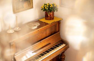 Villa Artur heritage - Luxury apartment - Foto 16