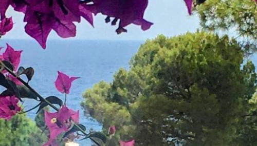 House beach in Cala Salions - Foto 1