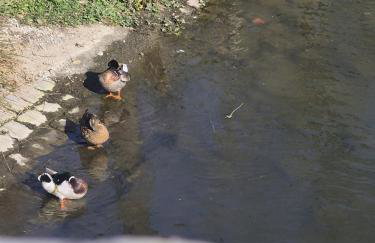 Maison cosy emplacement idéal Chartres, Netflix, Wifi, garage vélos - Foto 10