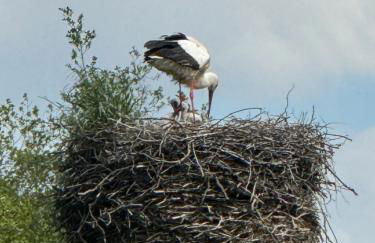 Ferienwohnung Milchverliebt - Foto 18