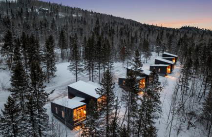 Ski Hill Cabins and Saunas - Foto 31