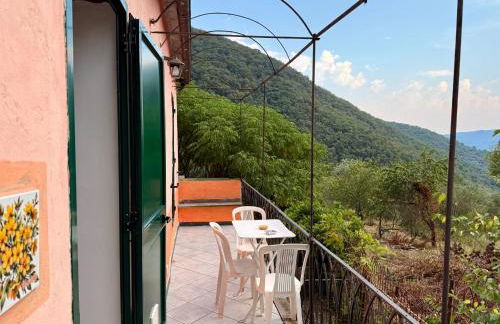 Country House With Big Garden - Photo 77