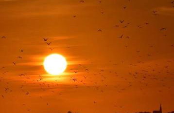 La cabane de la baie - Foto 29