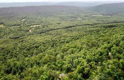 Rustic-Modern Chalet w/ Fire Pit, Deck & Views in Slanesville, WV - Foto 10