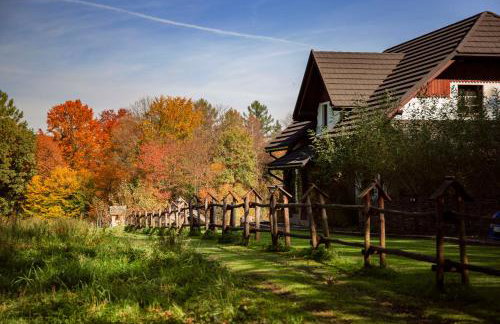 Zagroda Krasna - Photo 47