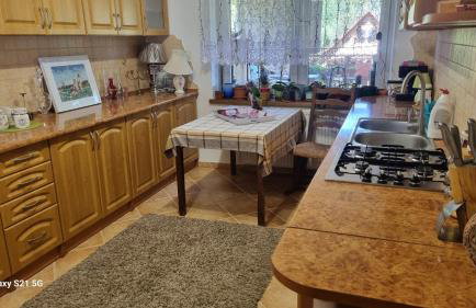 Pod Smerekiem - Photo 31