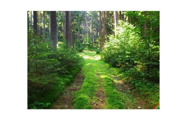 Frankenwaldhaus Comfortable Holiday Residence - Foto 10