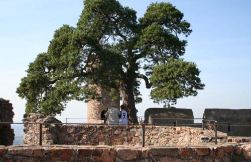 Design-Wohnungen by Ulrike Horster - Foto 46