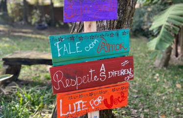 Tiny House II - Sítio dos Wolff - Foto 16