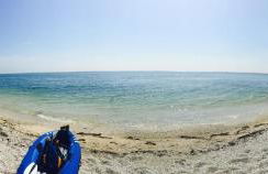 Ritorno alla Natura - Foto 56