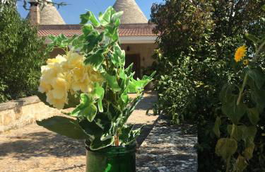 Il Trullo del Lazzeruolo - Foto 32