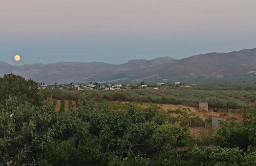 Green Garden House - Foto 8