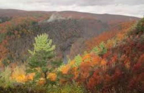 Small Town Hideaway - Photo 5