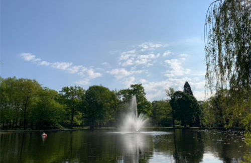 Ferienwohnung am Südwall All INCLUSIVE - Foto 41