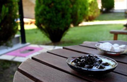 Santa Emelia - Foto 16