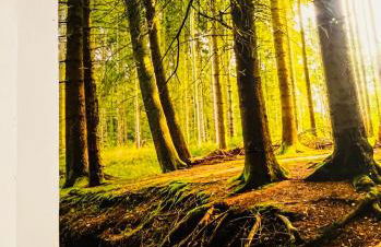 Come a casa tua - Foto 10