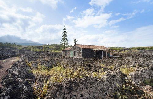 Adega Maciel - Photo 25