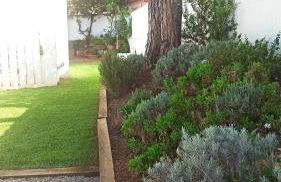 Diseño y luz entre los pinos - Foto 46