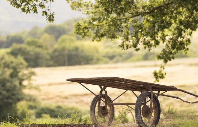 Agriturismo Pomonte - Foto 26