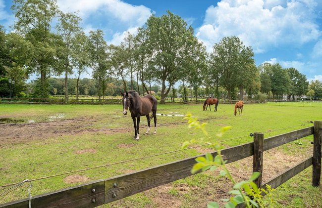 Holiday Home in Reest Valley Near Forest & Pond - Foto 52
